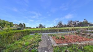 Photo 4- click for photo gallery